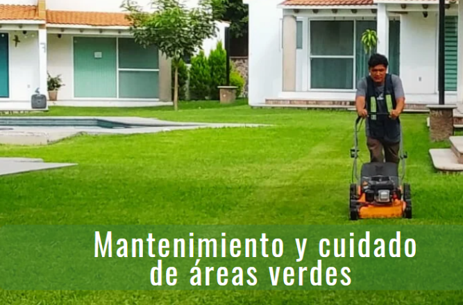 Servicio de jardinería en condominios de Ciudad de México